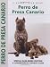 Perro De Presa Canario: Special Rare-Breed Edition : A Comprehensive Owner's Guide