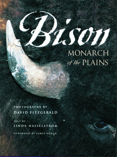 Bison: Monarch of the Plains
