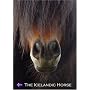 The Icelandic Horse