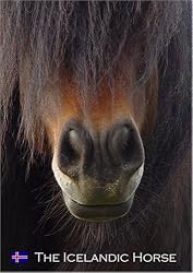 The Icelandic Horse