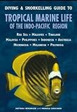 Diving & snorkelling guide to tropical marine life of the Indo-Pacific region