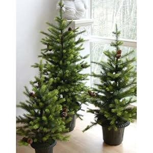 empfehlen facebook twitter pinterest eur 150 00 eur 4 95