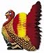 Madras Turkey Centerpiece, 15 inches
