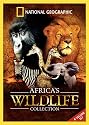 Africa's Wildlife Collection