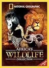 Africa