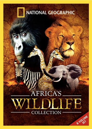 Africa's Wildlife Collection