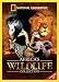 Africa's Wildlife Collection