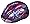 beetle purple