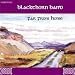 Blackthorn band, Far from home