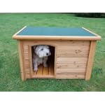 Luxury Dog Kennel