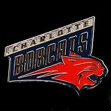NBA Charlotte Bobcats Team Logo Pin