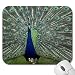 Mousepad - 9.25" x 7.75" Designer Mouse Pads - Birds (MPBI-002) - Ostrich