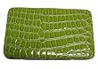 Glossy Croc Flat Wallet Green