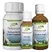 PetAlive ProsPet Drops, UTI-Free and Immunity & Liver Support UltraPack