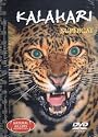 Kalahari Supercat