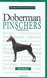 A New Owner's Guide to Doberman Pinschers
