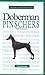 A New Owner's Guide to Doberman Pinschers