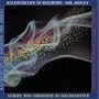 Kaleidoscope of Rainbows [Vinyl]