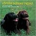 labrador21  - Labrador Retriever Puppies 2010 Wall Calendar