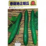 �t���n���i��ʎ�j