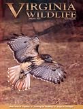 Virginia Wildlife (1-year auto-renewal)