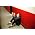 Thumbnail image of Jamie T.