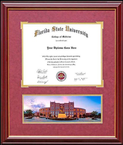 Diploma Frame Florida State Doak At Twilight Image