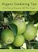 Organic Gardening: Tips For Every Season Of The Year Organic Gardening: Tips For Every Season Of The Year