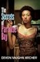 The Secrets of Paradise Bay (Urban Renaissance)