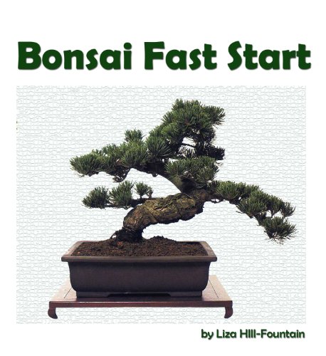 Bonsai Fast Start: Learn The Basics About Bonsai, 