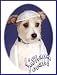Book Pet Star Jewish New Year Cards - Jack Russell