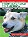 Books : From Baghdad to America: Life Lessons from a Dog Named Lava