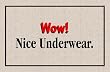 Nice Underwear Doormat