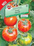 51OTU6Ax%2BRL. SL160  Tipps & Infos    Tomate: Tomate Tigerella