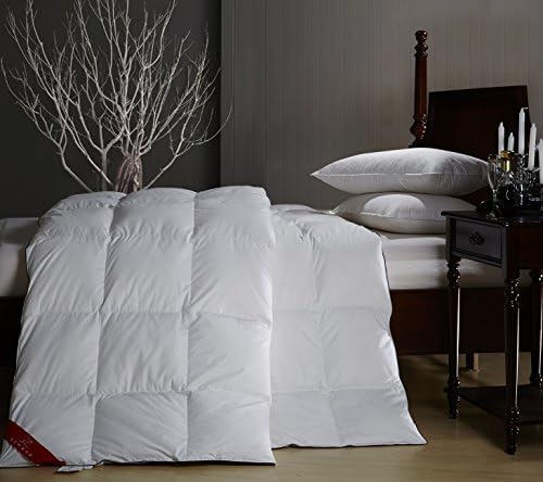 Holic Home Textile,Luxury 100% 40S/200-thread-count Down-Proof Cotton Shell With White Duck Down And Feather Filled Duvet(71-Ounce), Cozy Comforter for Winter[Twin],(HBS-11-00038-02)
