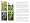Veg Patch: River Cottage Handbook No.4