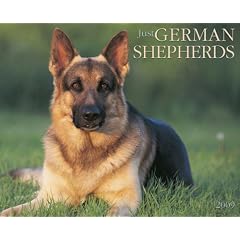 Just German Shepherds 2009 Calendar