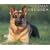 Just German Shepherds 2009 Calendar
