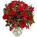 Red Rosmeria Splendid Bouquet of Roses and Alstroe