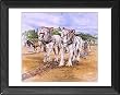 match ploughs for sale