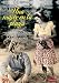 Search : The Woman on the Beach ( Una Mujer en la playa ) [ NON-USA FORMAT, PAL, Reg.2 Import - Spain ]