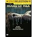 House of Wax (FSK 16)