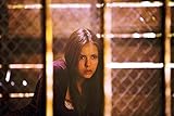 Image de Vampire Diaries - Saisons 1 à 5