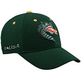 Top of the World UAB Blazers Green Triple Conference Adjustable Hat