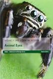 Animal eyes
