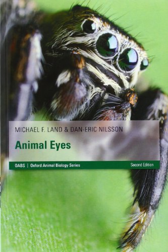 animal eyes oxford animal biology