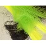 POLARIS HAIR