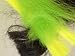 POLARIS HAIR  CURLY in 35 Great Colors