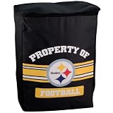 NFL Pittsburgh Steelers Team Insulated Backpack