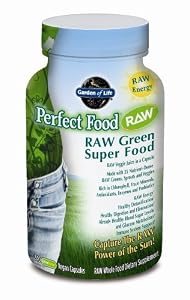 Garden of Life Perfect Food Raw Nutritional Supplement, 240 Count